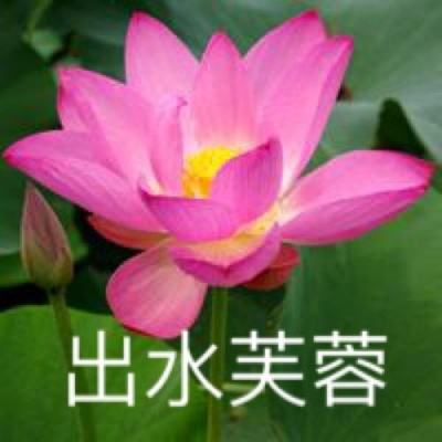 我叫鸣人无限元宝服下载